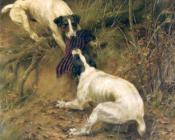 托马斯 布林克斯 : Terriers fighting